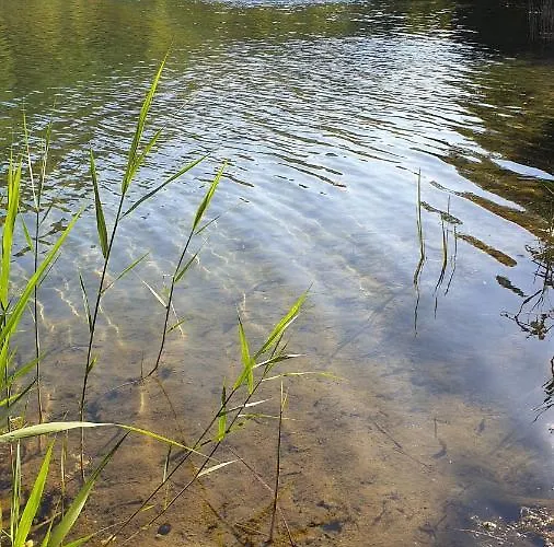 公寓 Gut Seebacher *