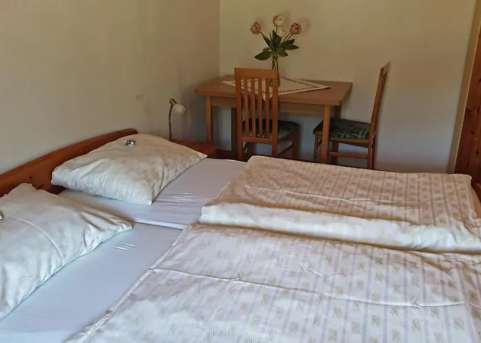 Gut Seebacher 克拉根福